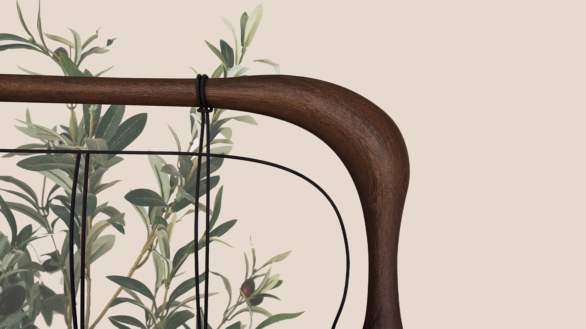 Preview del progetto Radicale